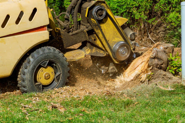 Best Tree Mulching  in Flower Hill, NY