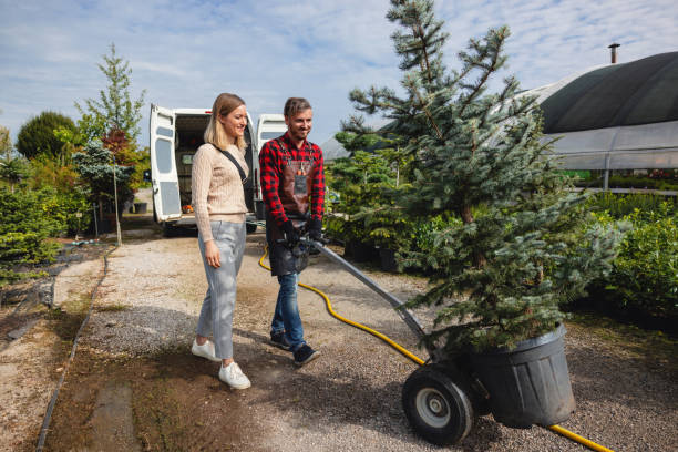 Best Grass Overseeding  in Flower Hill, NY